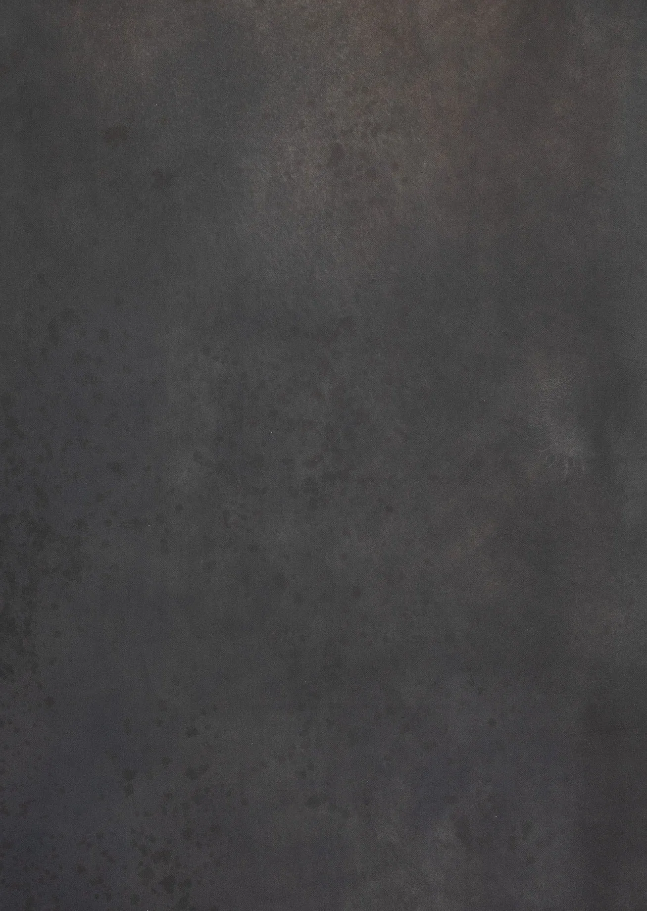 Black Bloom #0767 Large Painted Canvas Backdrop