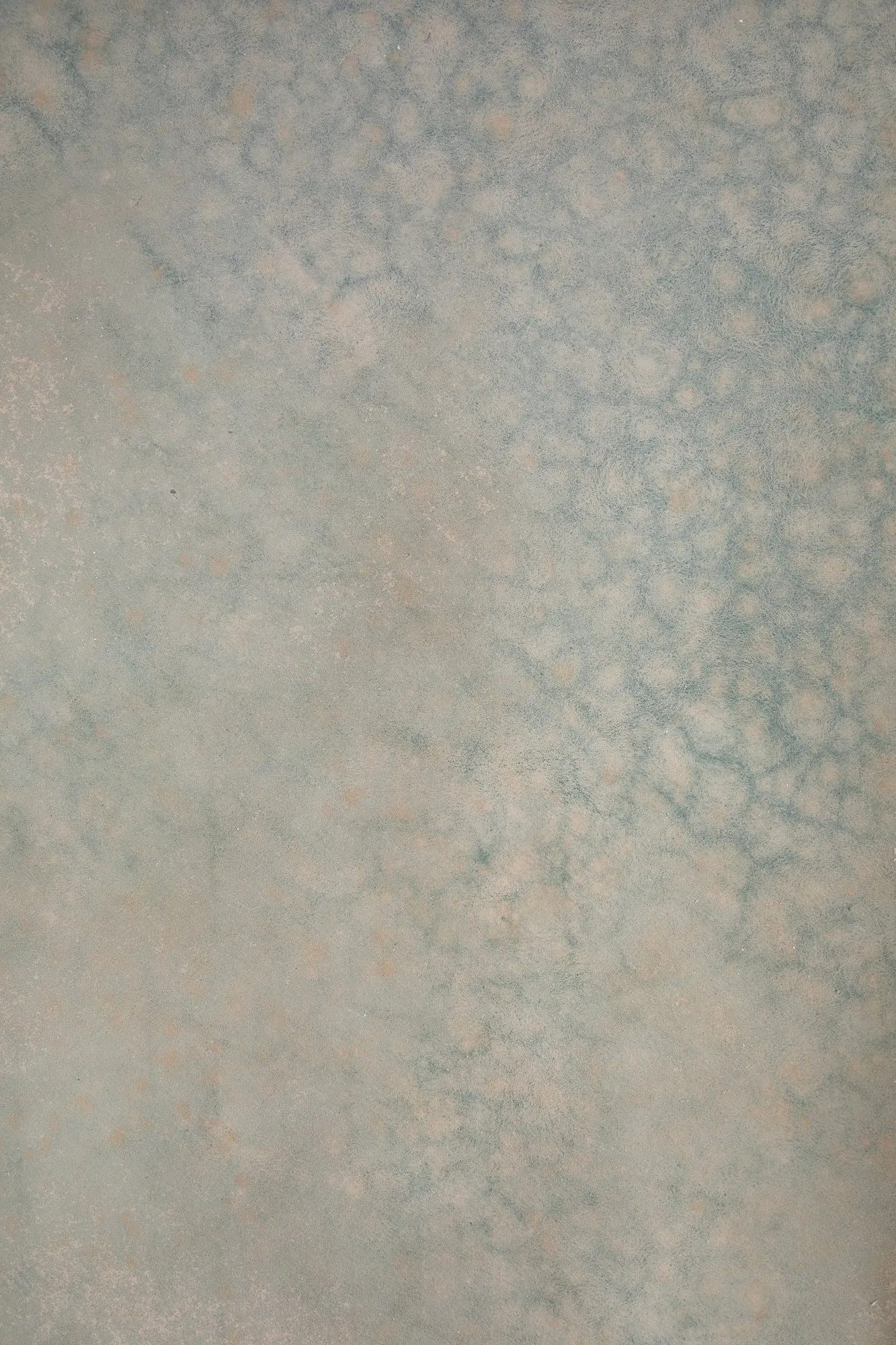 Cellular #0804 Large Painted Canvas Backdrop